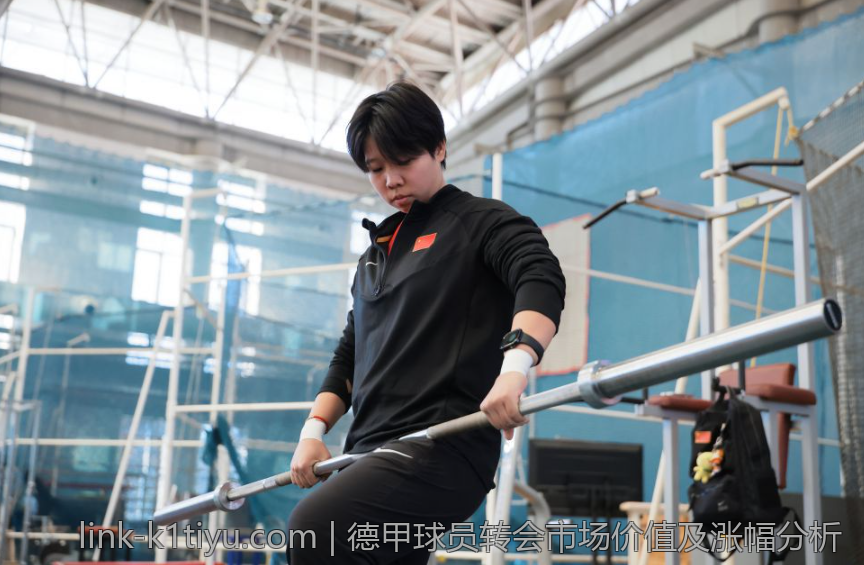德甲球员转会市场价值及涨幅分析